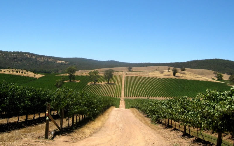 Barossa Valley Attractions Brisbane