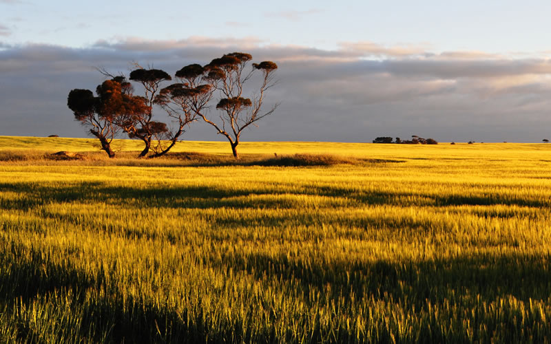 Yorke Peninsula Attractions Brisbane
